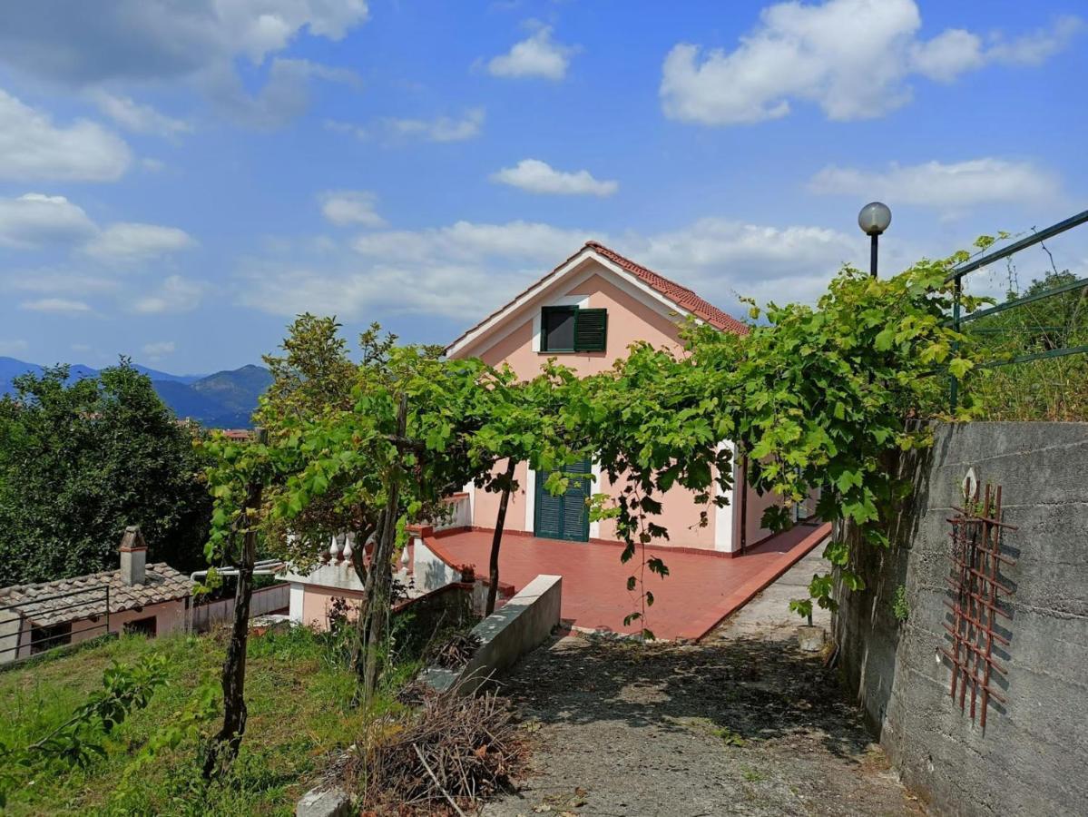 Vietri Villa Vicinus - 120 Mq - Parking - Garden מראה חיצוני תמונה